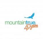 mountain true logo