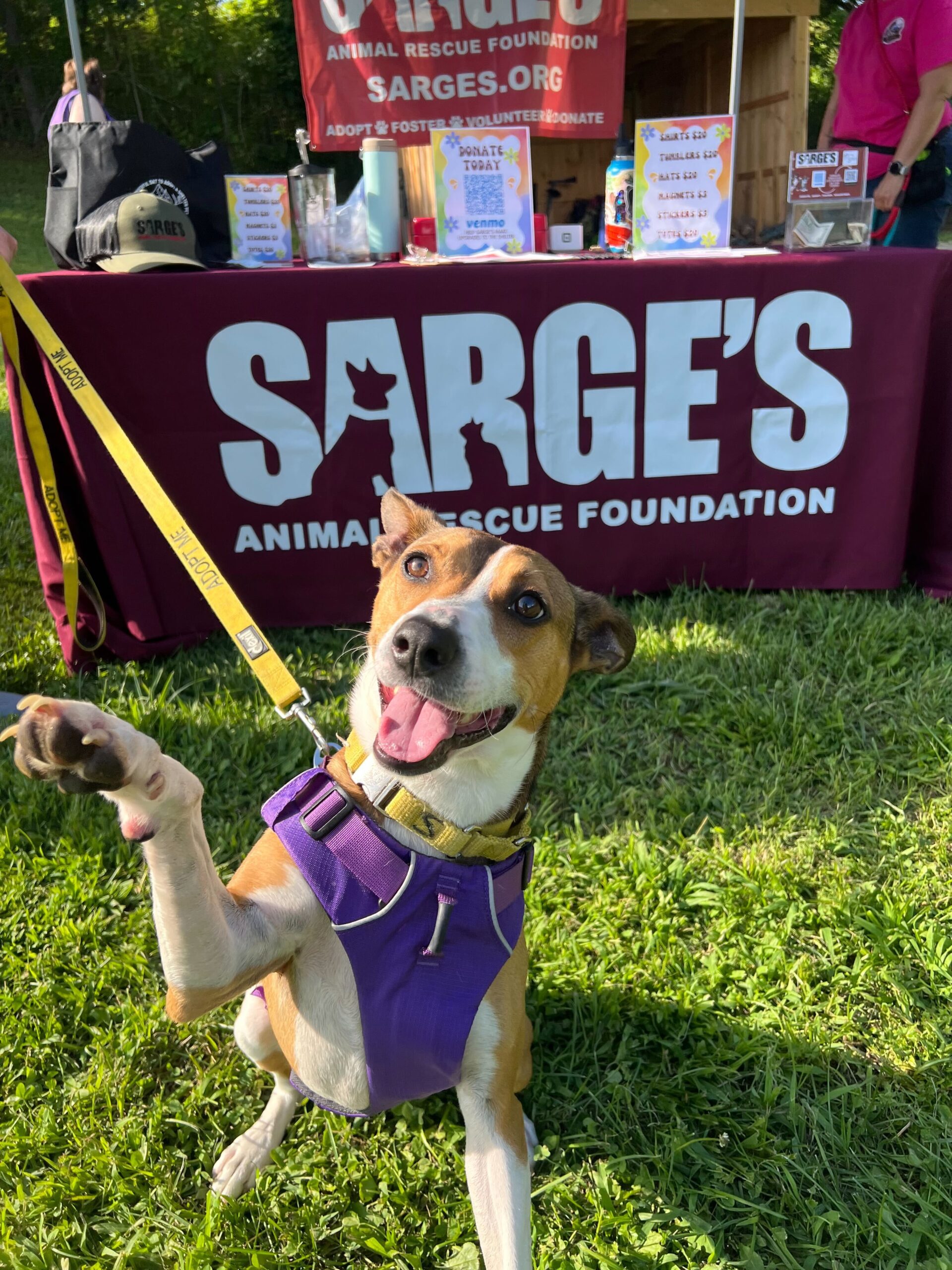 Untitled 1 Sarge's Animal Rescue Foundation, Inc