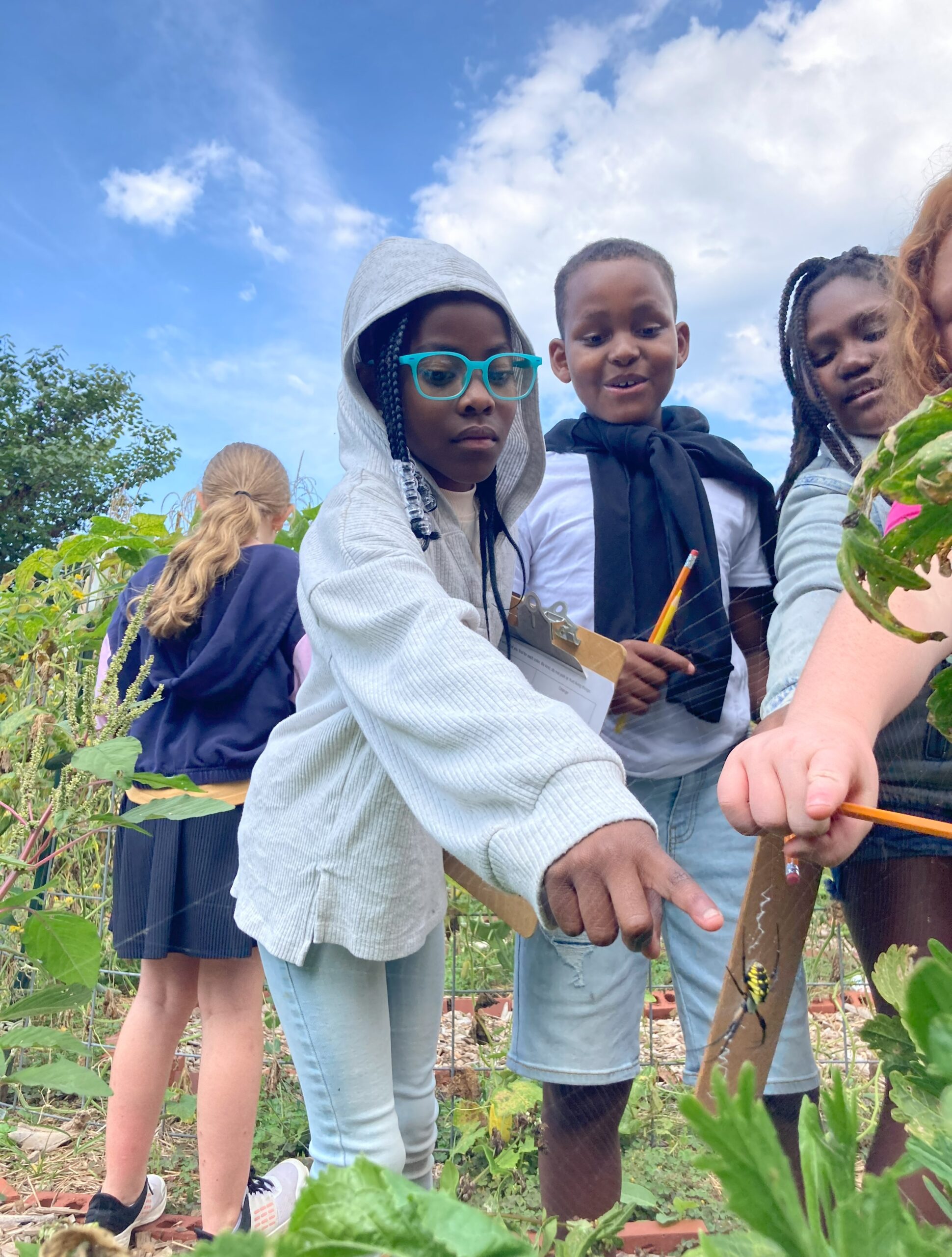 Untitled Bountiful Cities