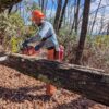 Untitled EcoForesters