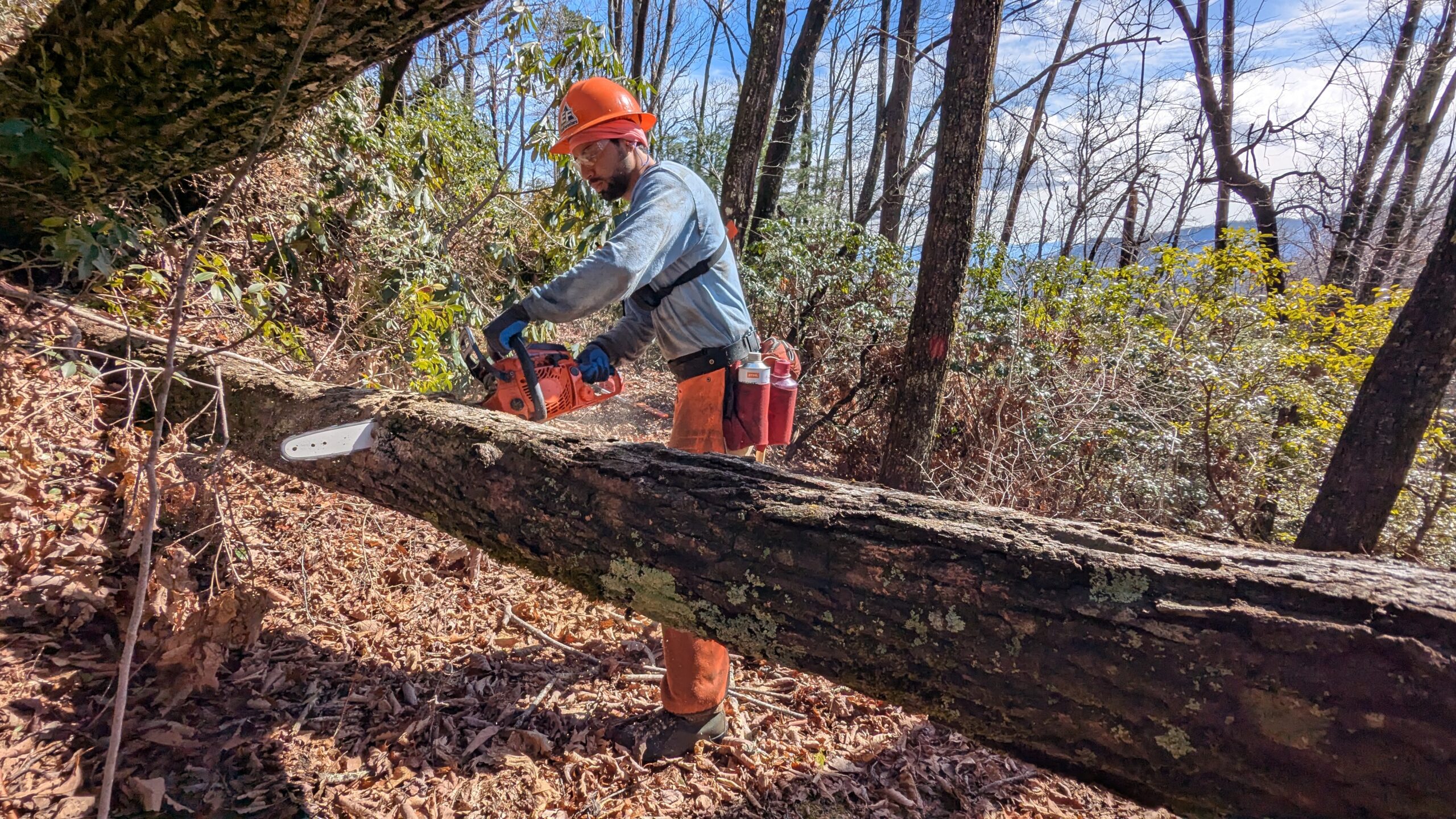 Untitled EcoForesters