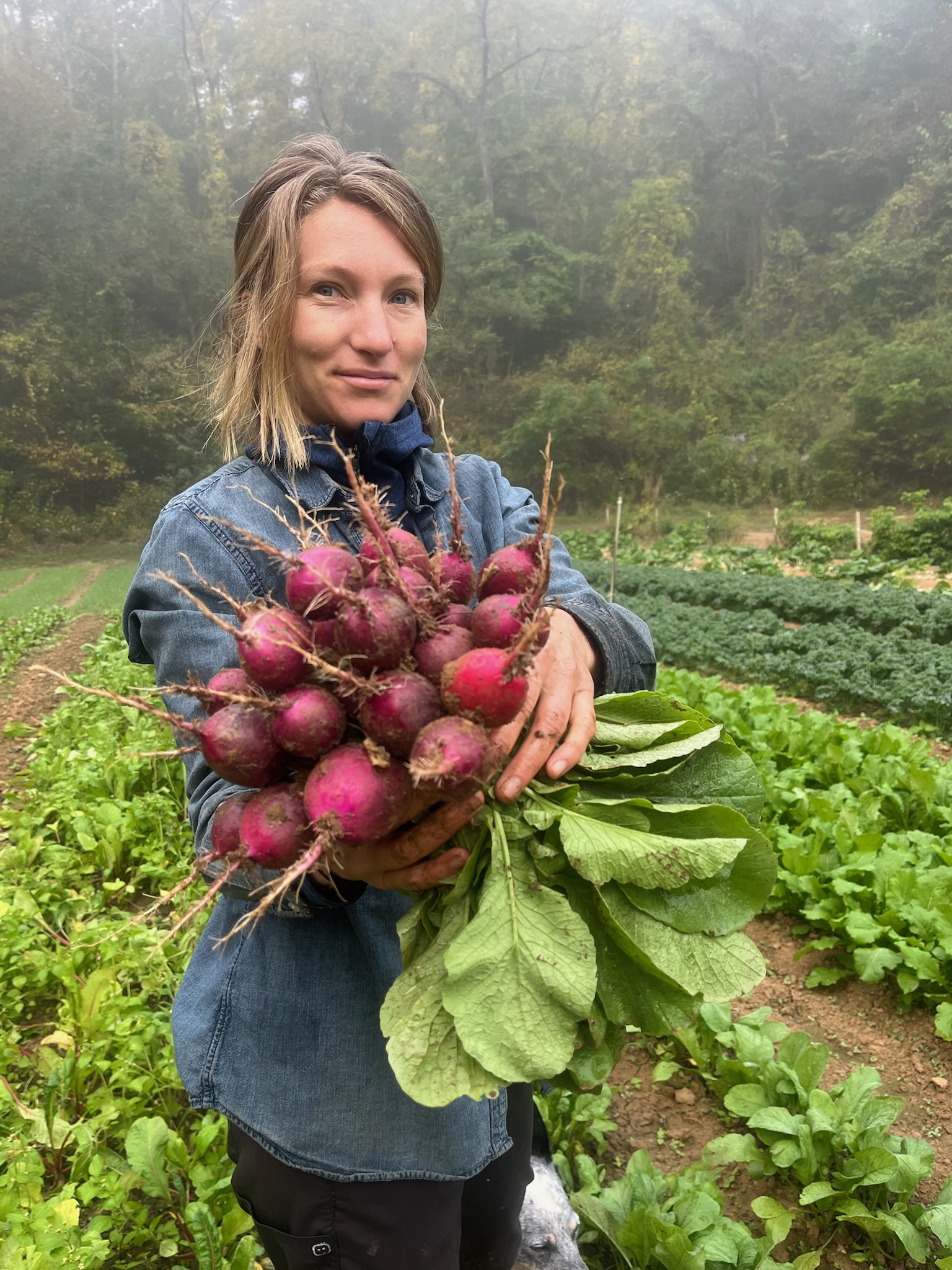 Untitled Equal Plates Project