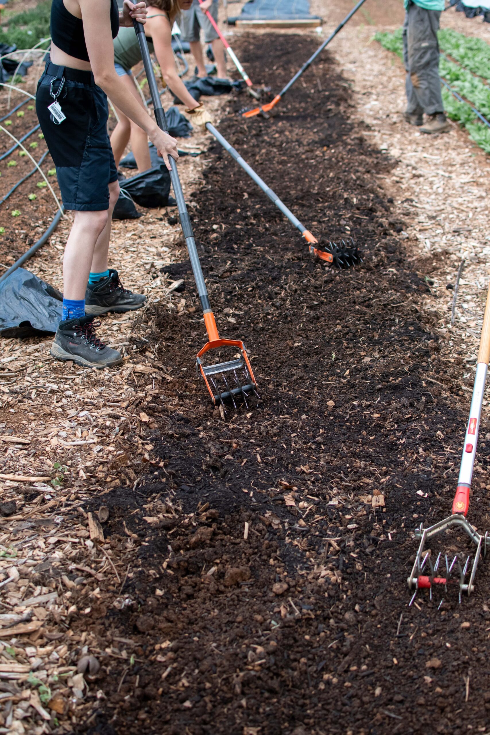Untitled Root Cause Farm