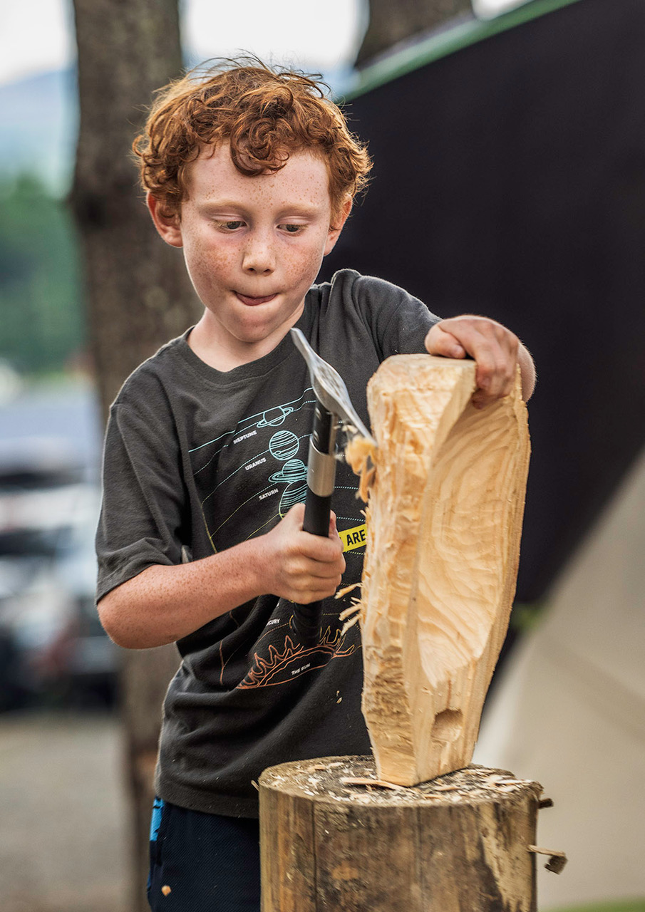 Untitled The Firefly Gathering