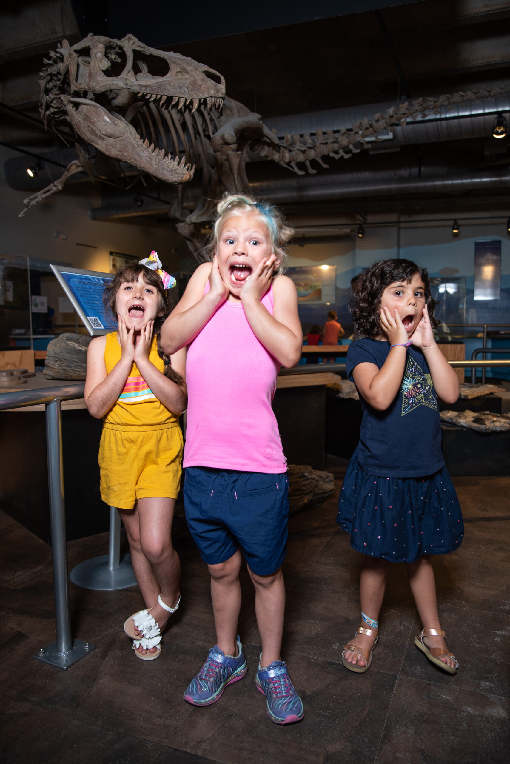 Untitled Asheville Museum of Science